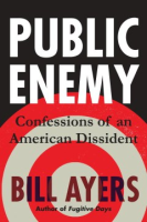 Public_enemy