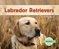 Labrador_retrievers