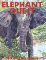 Elephant_quest