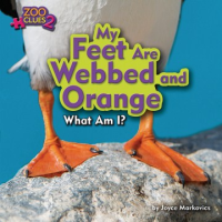 My_feet_are_webbed_and_orange