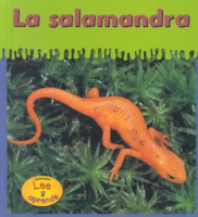 La_salamandra