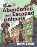 Abandoned and escaped animals