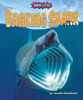 Basking_shark