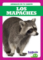 Los_mapaches