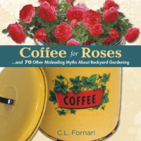 Coffee_for_Roses