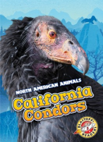 California_condors