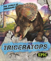 Triceratops