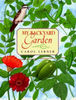 My_backyard_garden