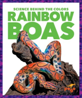 Rainbow_boas