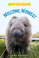 Welcome__wombat