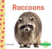 Raccoons