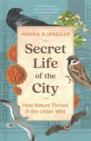 Secret_life_of_the_city