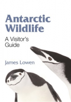 Antarctic_wildlife