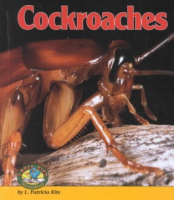 Cockroaches