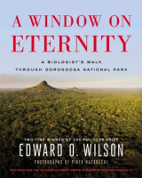 A_window_on_eternity