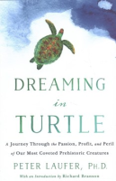 Dreaming_in_turtle