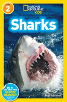 Sharks_