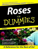 Roses_for_dummies