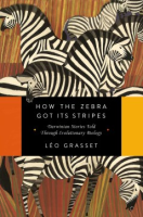 How_the_zebra_got_its_stripes
