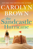 The_Sandcastle_hurricane