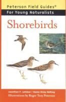 Shorebirds