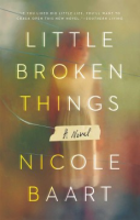 Little_broken_things