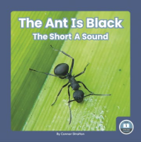 The_ant_is_black