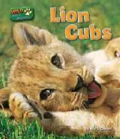 Lion_Cubs