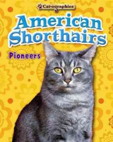 American_shorthairs