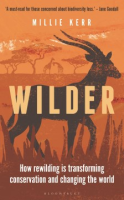 Wilder