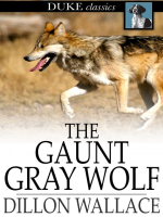 The_Gaunt_Gray_Wolf