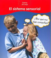 El_sistema_sensorial