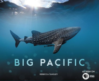 Big_Pacific