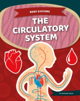 The_circulatory_system