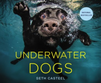 Underwater_dogs