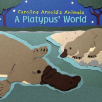 A_platypus__world