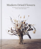 Modern_dried_flowers