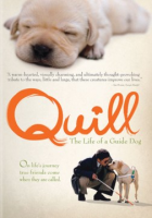 Quill