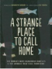 A_strange_place_to_call_home