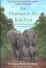 An_elephant_in_my_kitchen