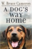 A_dog_s_way_home