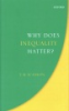 Why_does_inequality_matter_
