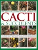 The_world_encyclopedia_of_cacti___succulents