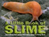 A_little_book_of_slime