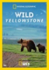 Wild_Yellowstone