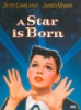A_star_is_born