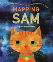 Mapping_Sam