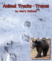 Animal_tracks_and_traces