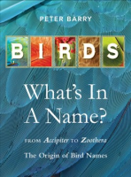 Birds__what_s_in_a_name_