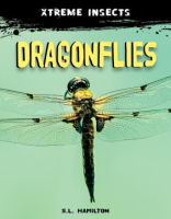 Dragonflies